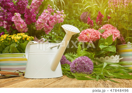 Gardening tools and planting flower Gardening tools and planting flower 47848496