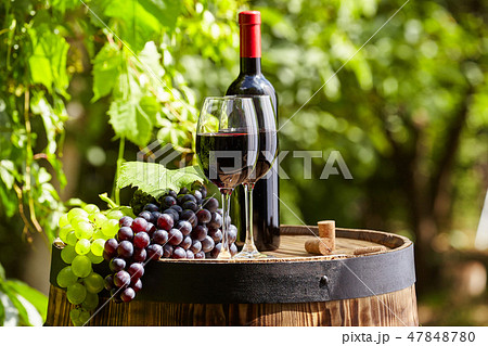 Red wine with barrel on vineyard in green Tuscany, Red wine with barrel on vineyard in green Tuscany, 47848780