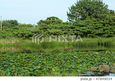 観光 風景 風 47849034