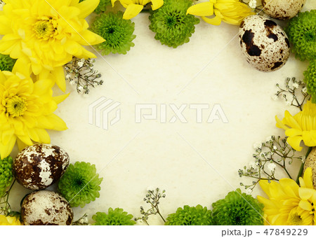 Flowers with quail eggs on old paper 47849229