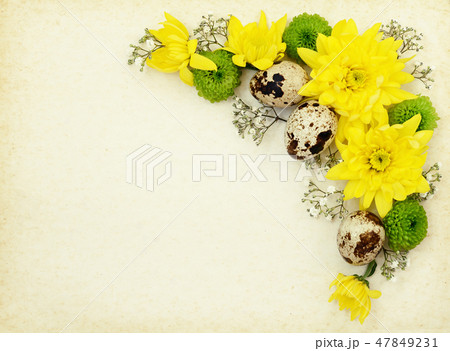 Flowers with quail eggs on old paper 47849231