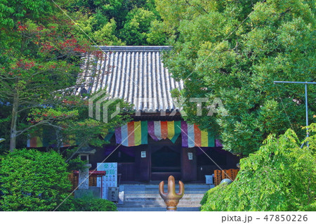 石手寺 本堂 石手寺 本堂 47850226