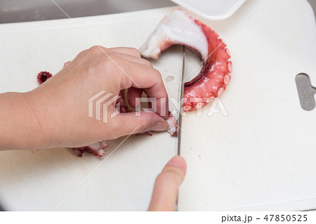 ゆでダコを切る女性の手元 47850525