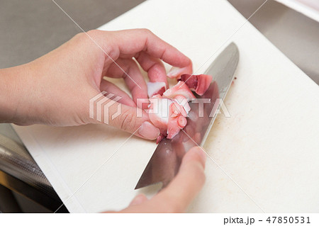 ゆでだこを切る女性の手元 47850531