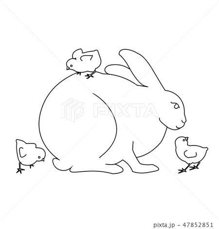 white easter bunny with egg and small chicks 47852851