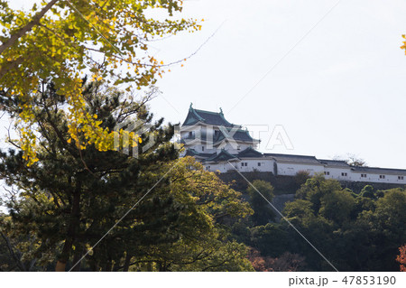 和歌山城 47853190