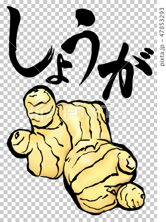 姜插圖信 47853293