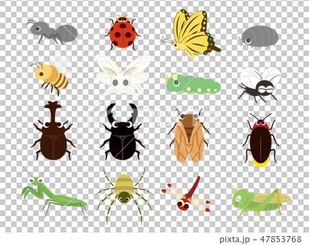 Cute insect set 1 47853768