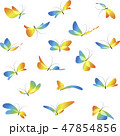 Set different butterflies 47854856