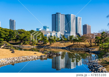 浜離宮恩賜庭園と豊海のタワーマンション 47855100