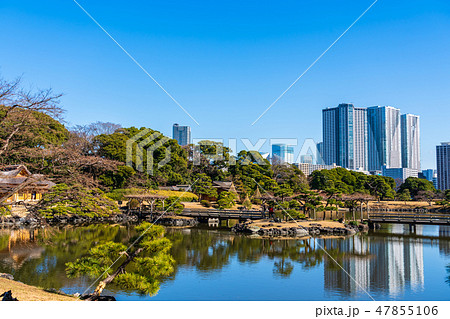 浜離宮恩賜庭園と豊海のタワーマンション 浜離宮恩賜庭園と豊海のタワーマンション 47855106