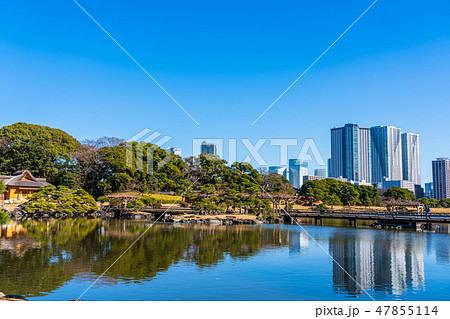 浜離宮恩賜庭園と豊海のタワーマンション 47855114
