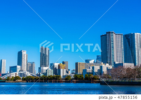 浜離宮から見るタワーマンション群 47855156