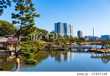 浜離宮恩賜庭園と豊海のタワーマンション 47855198