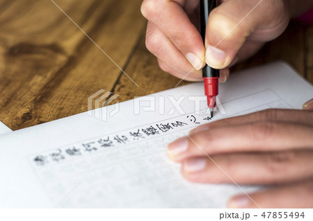 写経をしている人 47855494