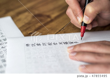 写経をしている人 47855495