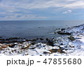 三陸復興国立公園　種差海岸 47855680