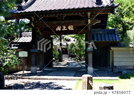 南品川の本光寺の山門 南品川の本光寺の山門 47856077