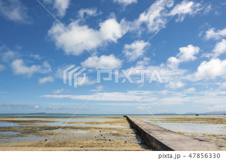 黒島　伊古桟橋 47856330