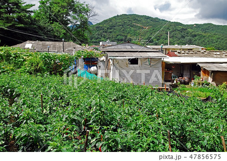 韓国 城北区 外部 47856575