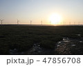 高美湿地 47856708