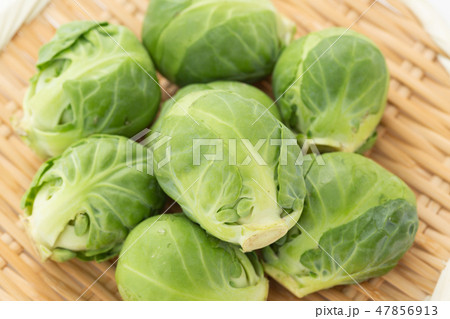 芽キャベツ 芽キャベツ 47856913