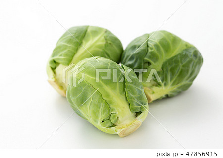 芽キャベツ 47856915