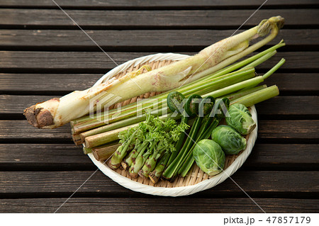 春野菜 山菜 春野菜 山菜 47857179