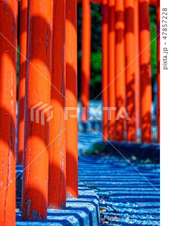 千本鳥居 47857228