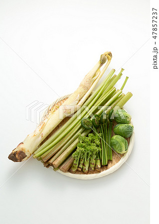 春野菜 山菜 春野菜 山菜 47857237