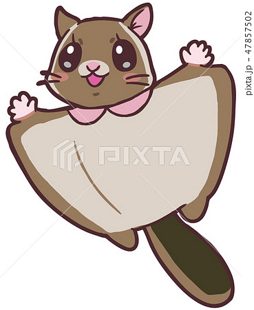 Cute flying squirrel 2 cute flying squirrel 2 - Stock Illustration  [47857502] - PIXTA