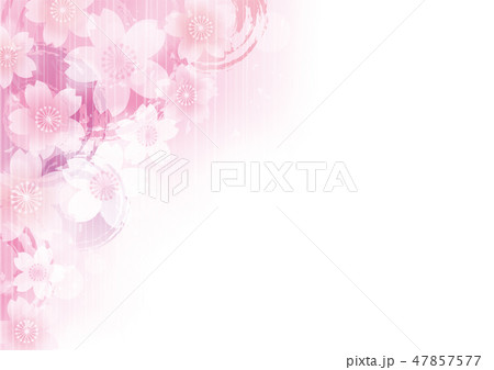 桜 花 春 和風 筆 フレーム 背景 ピンクのイラスト素材