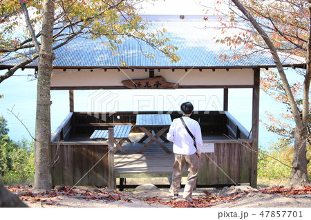 城山桜公園 城山桜公園 47857701