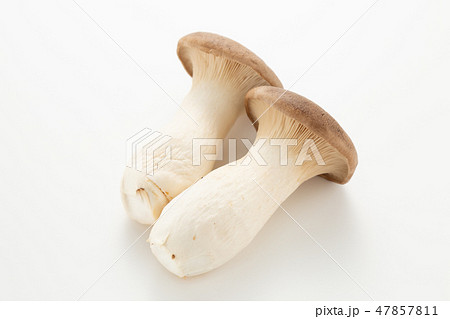 エリンギ 47857811