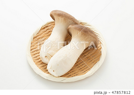 エリンギ 47857812