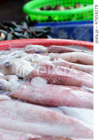 Fresh squid in seafood market Fresh squid in seafood market 47858279