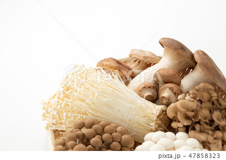 きのこ集合 47858323
