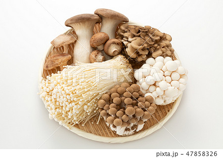きのこ集合 きのこ集合 47858326