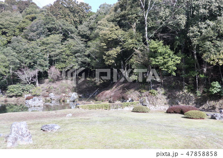 早春の山口　常栄寺雪舟庭 47858858