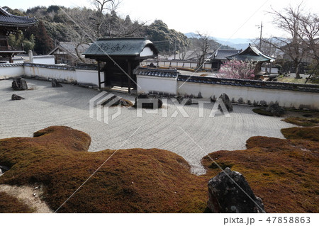 早春の山口　常栄寺雪舟庭 47858863