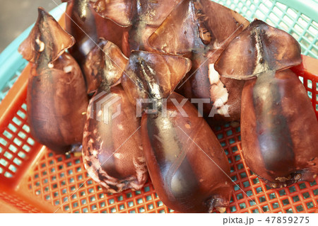 アバイ村 束草市 江原道 47859275