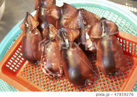 アバイ村 束草市 江原道 47859276