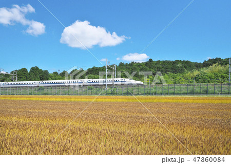 小麦畑の新幹線 小麦畑の新幹線 47860084