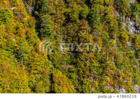 下ノ廊下　黒部峡谷 47860219