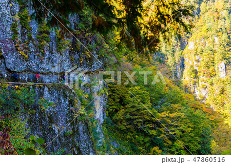 下ノ廊下　登山者　黒部 47860516