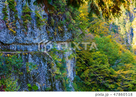 下ノ廊下　登山者　黒部 47860518