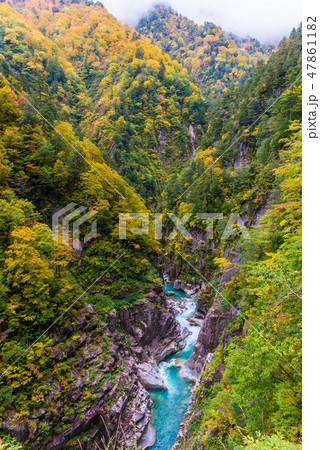 下ノ廊下 黒部峡谷 下ノ廊下 黒部峡谷 47861182