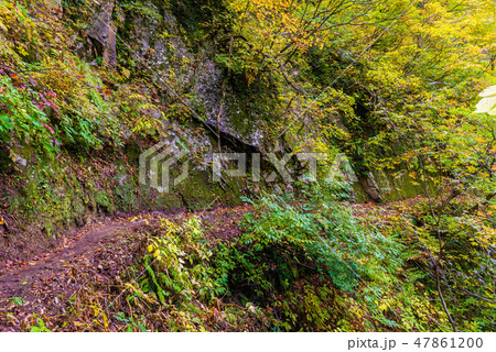下ノ廊下 黒部峡谷 下ノ廊下 黒部峡谷 47861200