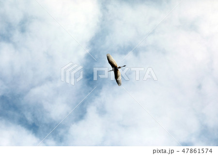 空 河川 雲 47861574