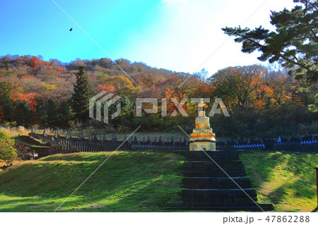 風景 観光 風 47862288
